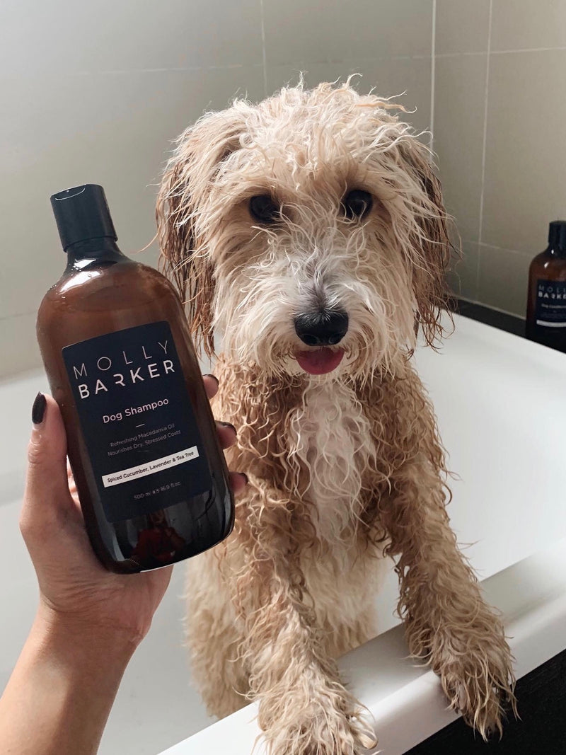 5 Reasons Why You Should Switch to Natural Dog Grooming Products