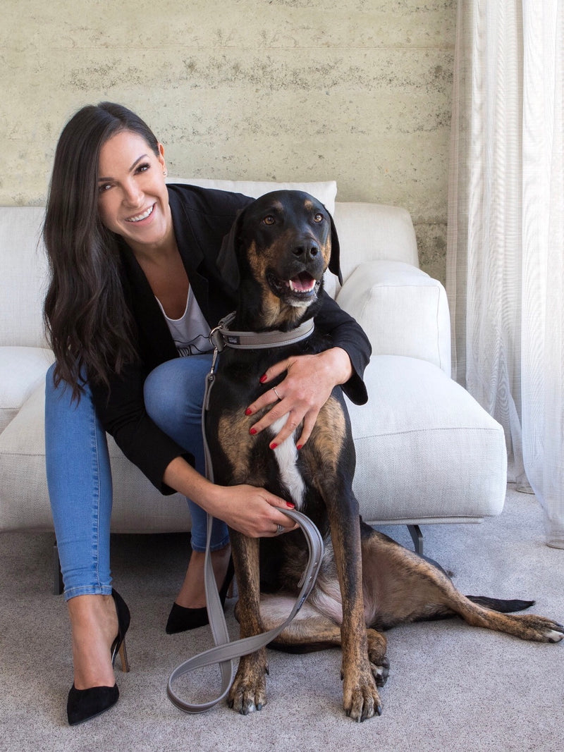 How My Puppy Love Turned Into A Designer Dog Boutique
