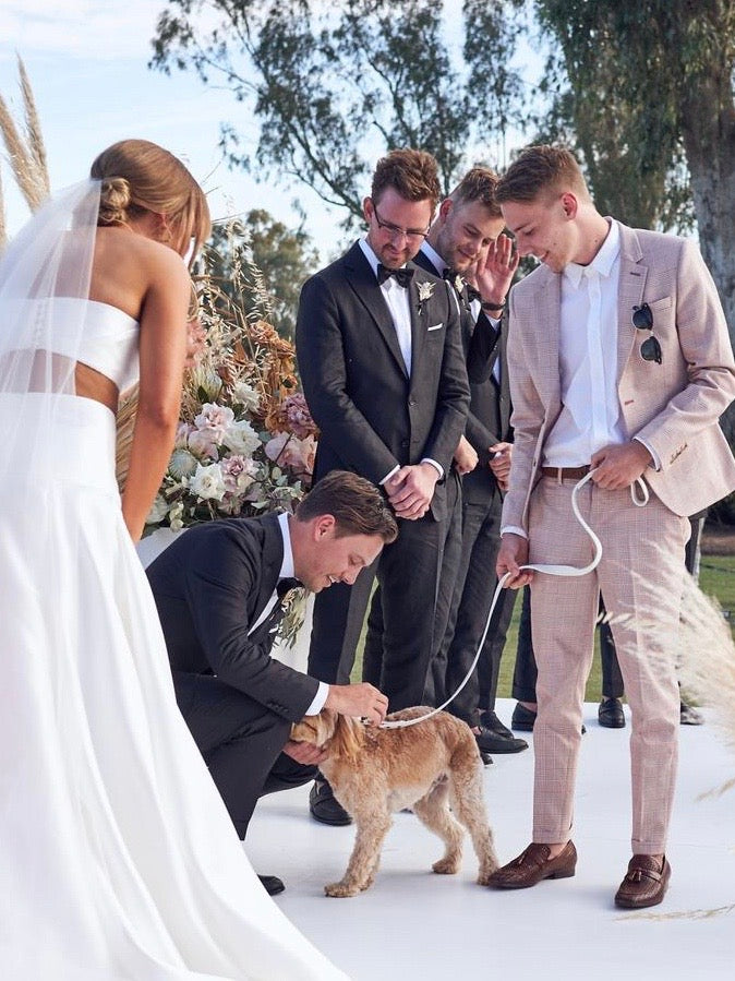 6 Stylish Ways to Include Your Dog in Your Wedding