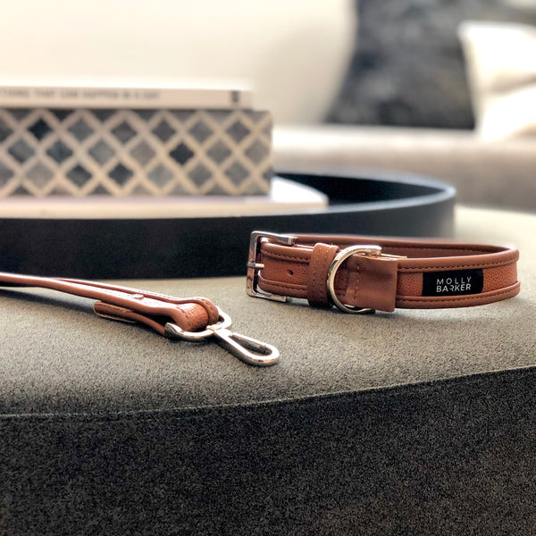 Sasha Dog Collar | Molly Barker Australia | Designer Dog Accessories