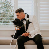 Bella Dog Collar