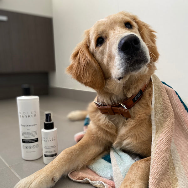 Dog Deodoriser & Conditioning Mist