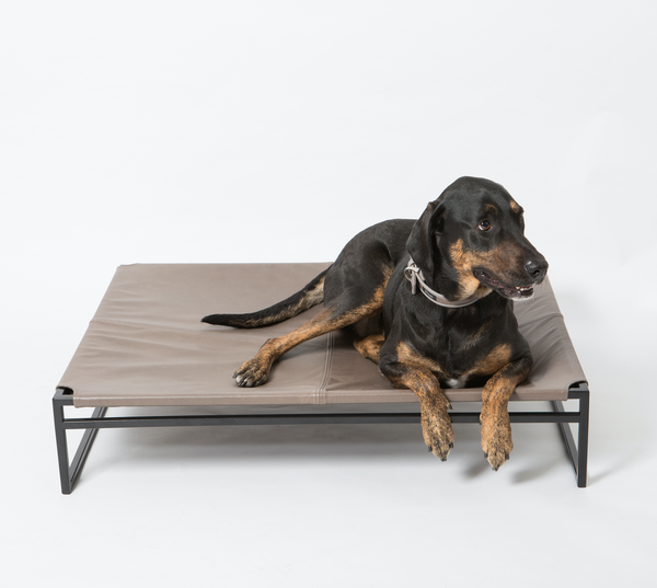 Sasha Dog Bed | Molly Barker Australia | Designer Dog Accessories